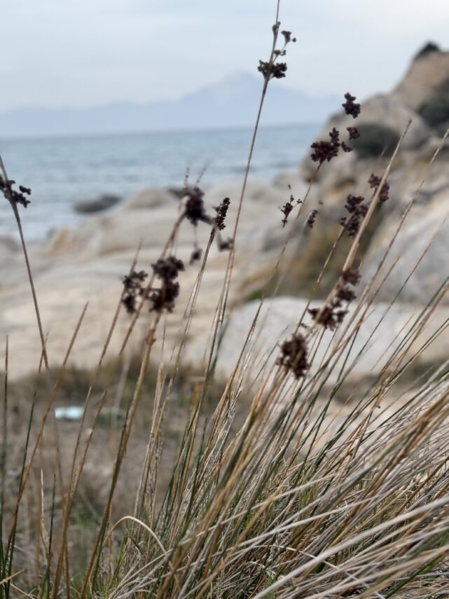 Τα αγαπημένα  της εβδομάδας
